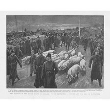 WATERFORD Dispute in the Bacon